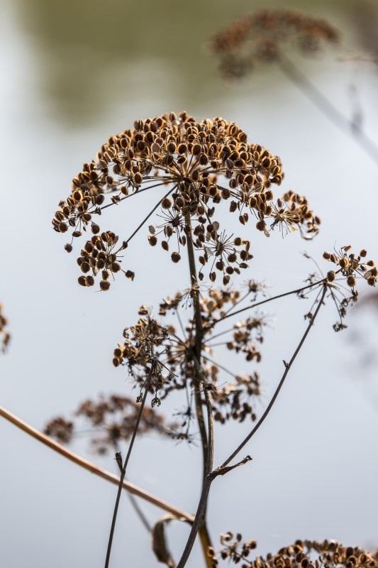 Profilbild von Konrad Dlugos