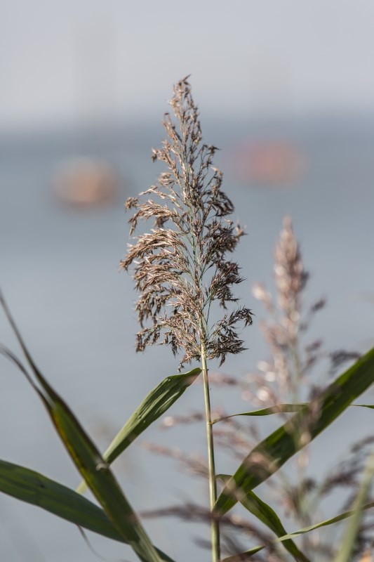 Profilbild von Renate Griese